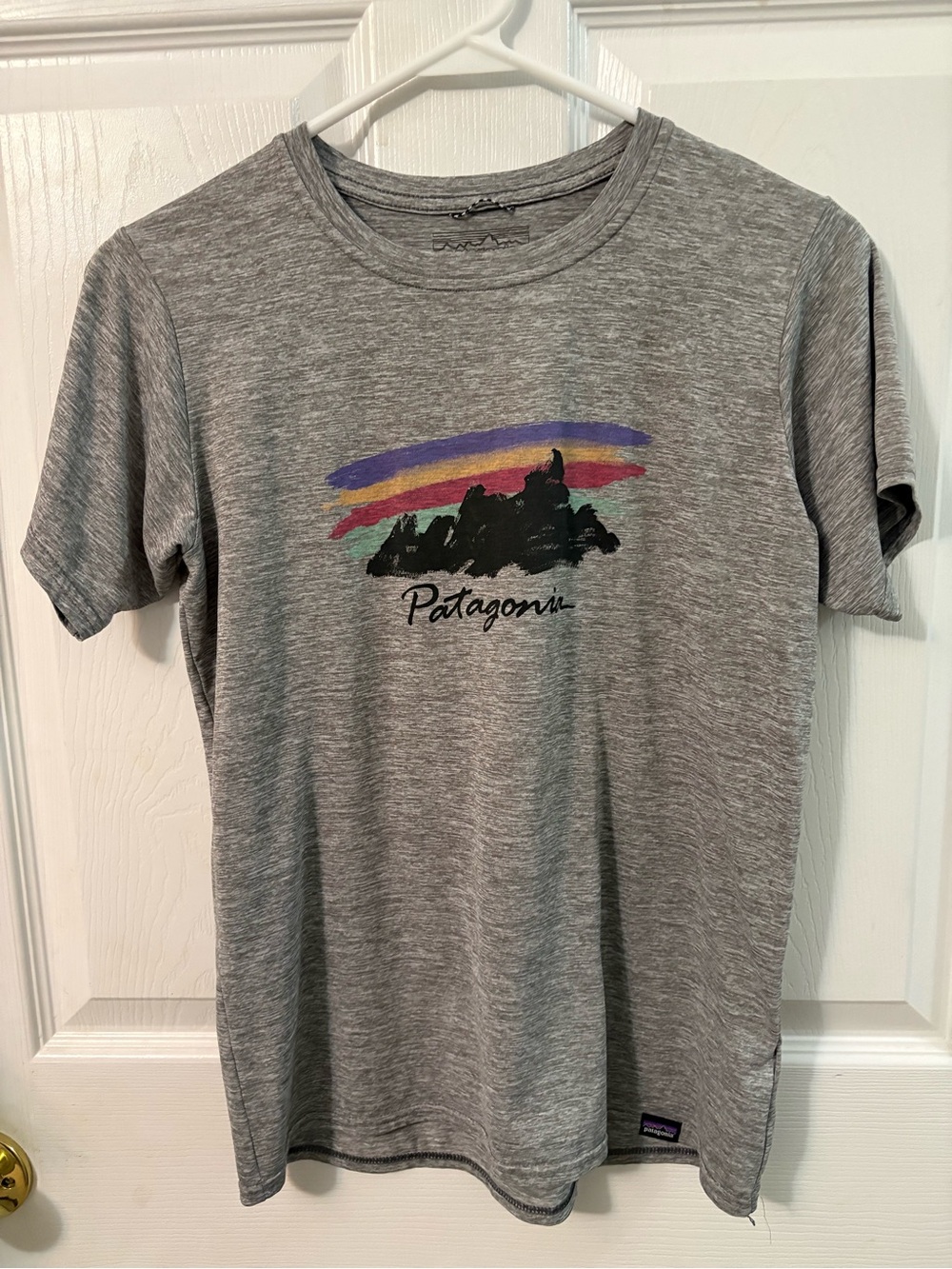 Patagonia Capilene Cool Daily Graphic Shirt